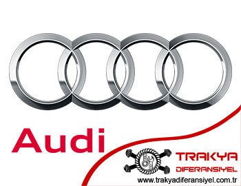 Audi Diferansiyel Tamiri Çorlu