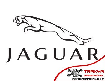 Jaguar Diferansiyel Tamiri Çorlu