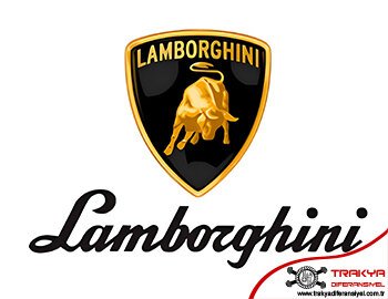 Lamborghini Diferansiyel Tamiri Çorlu