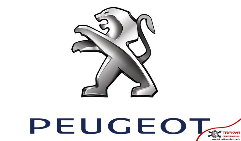Peugeot Diferansiyel Tamiri Çorlu