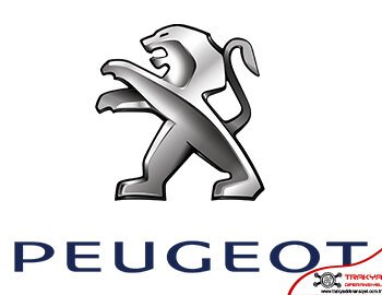 Peugeot Diferansiyel Tamiri Çorlu