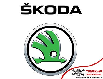 Skoda Diferansiyel Tamiri Çorlu