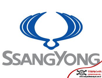 SsangYong Diferansiyel Tamiri Çorlu